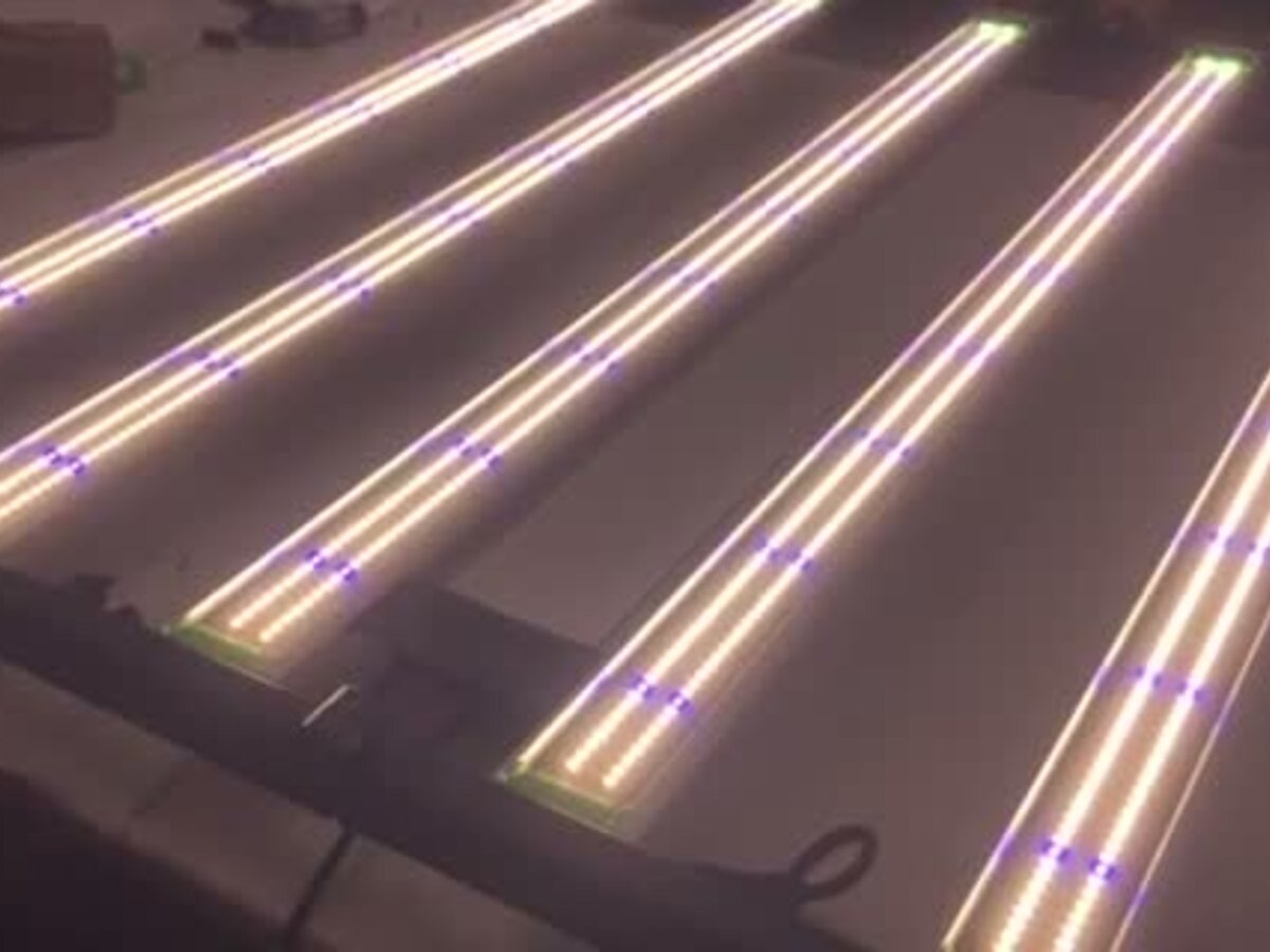 Assembled grow light bars lit on the assembly bench