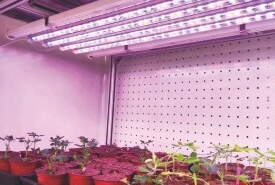 Propagation & research installation 2