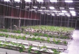 Propagation & research installation 4