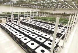 Vertical farms & racks installation 3