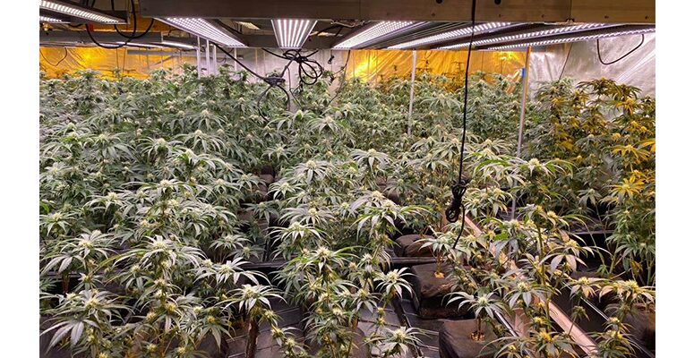 1060W LED GROW LIGHT