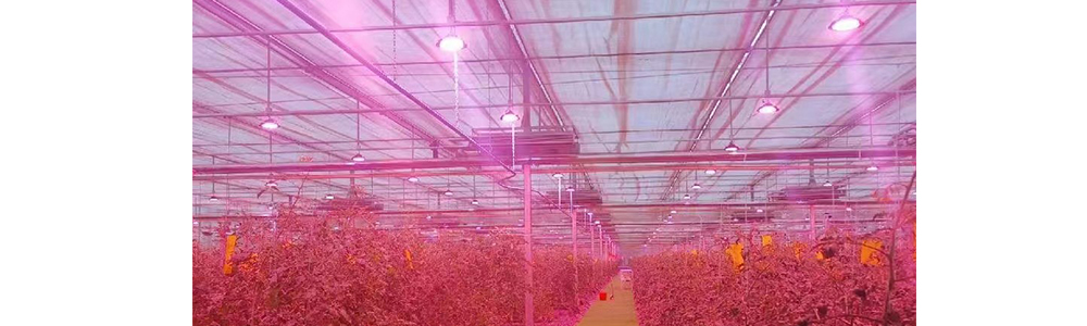 ufo led grow lights