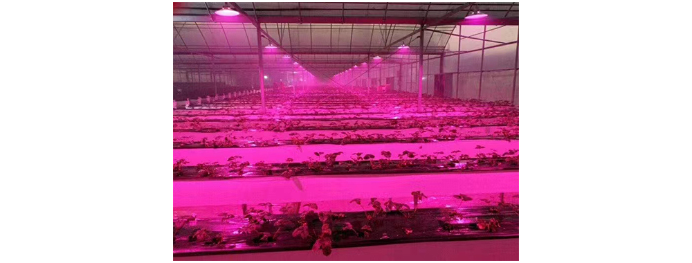 ufo high bay LED light
