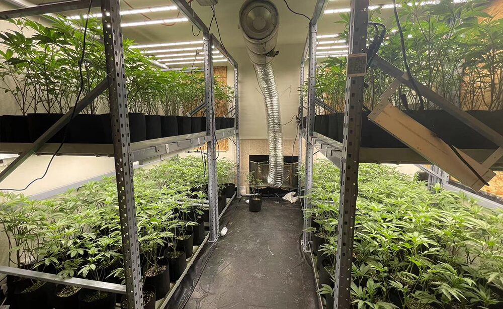 Vertical Grow Rack With LED Grow Lights And Trays