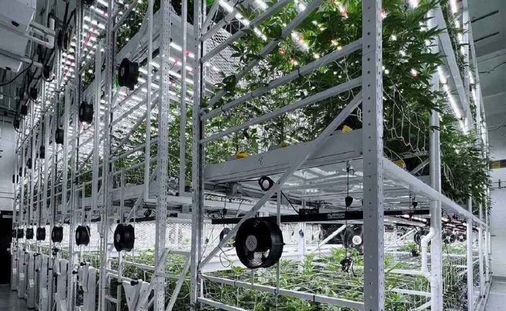 Movable Rolling Grow Rack System