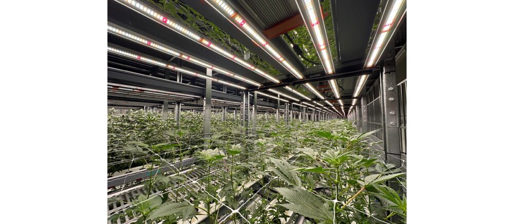 1200w led grow light