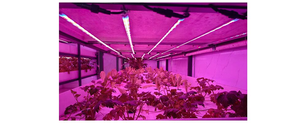 led strip grow lights