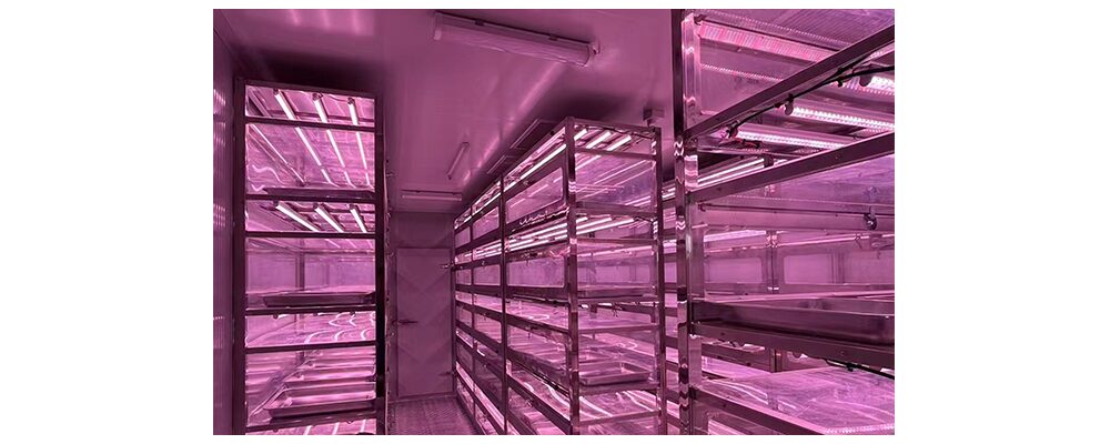 led grow light strip
