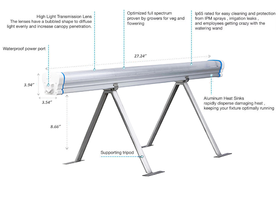 Fixture dimensions